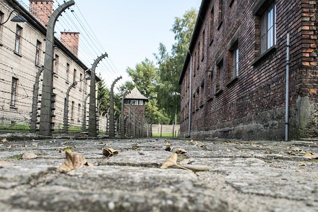 Holocausto