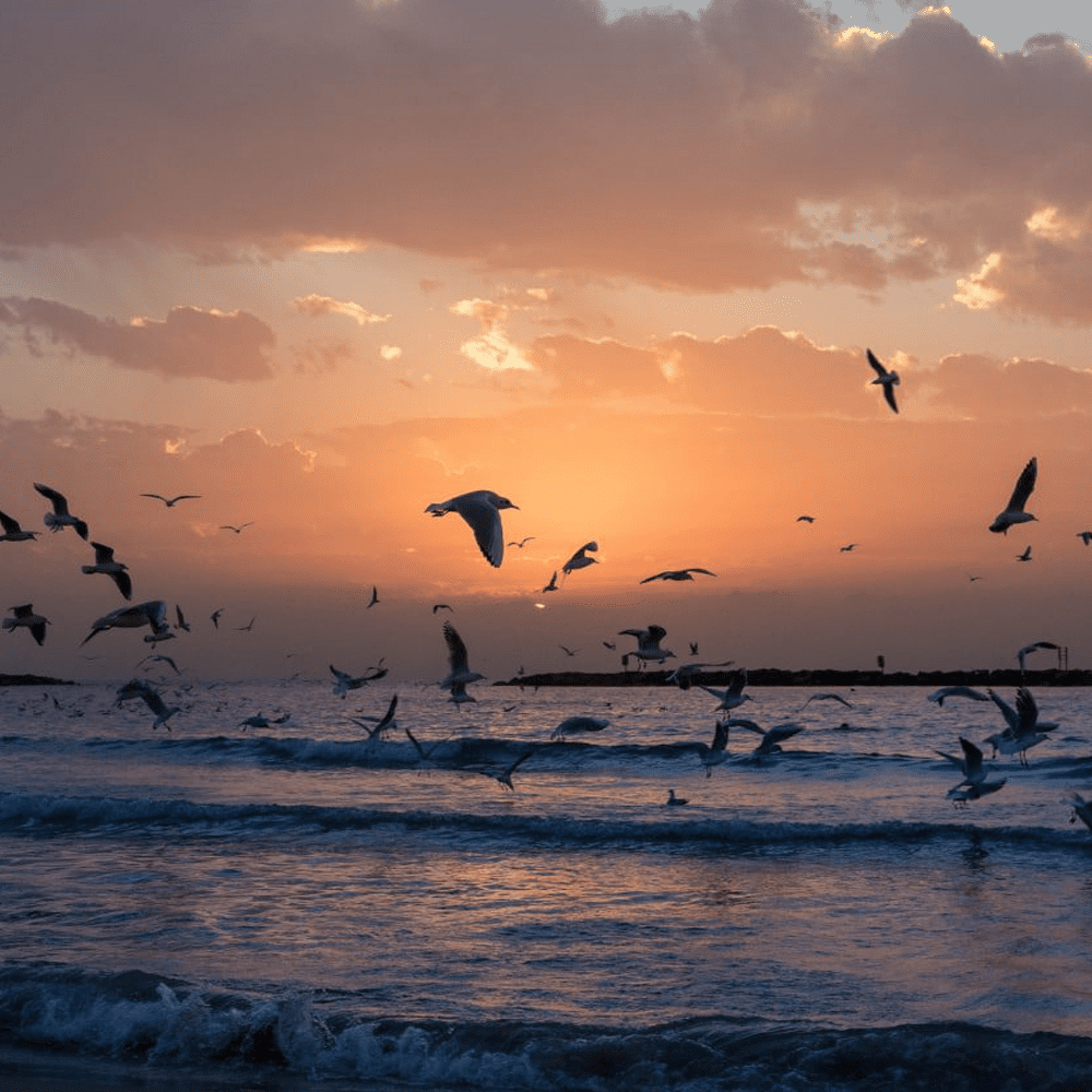 Tel Aviv Yafo