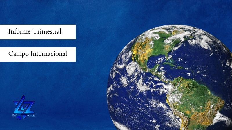 informe trimestral 8