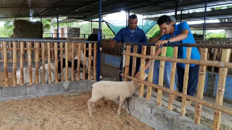 Pr. Maikel Cova a su llegada a Venezuela visitó los Campamentos