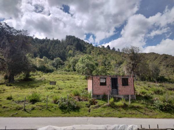 Región Andina de Venezuela