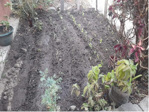 Avance en 2 meses de trabajo en Ecuador